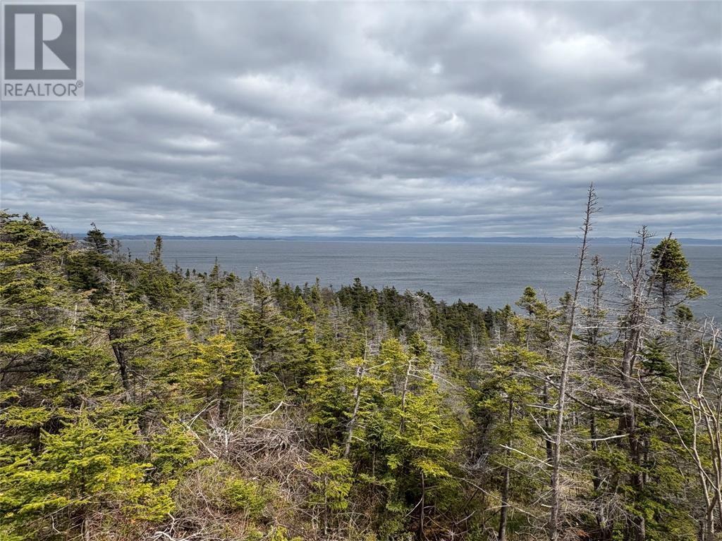 331 Front Road, Port Au Port West, Newfoundland & Labrador  A0N 1T0 - Photo 12 - 1295568