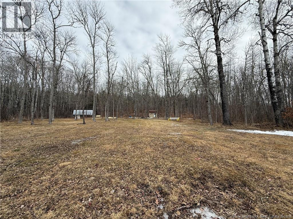 958 Route 710, Codys, New Brunswick  E4C 1B5 - Photo 21 - NB135485