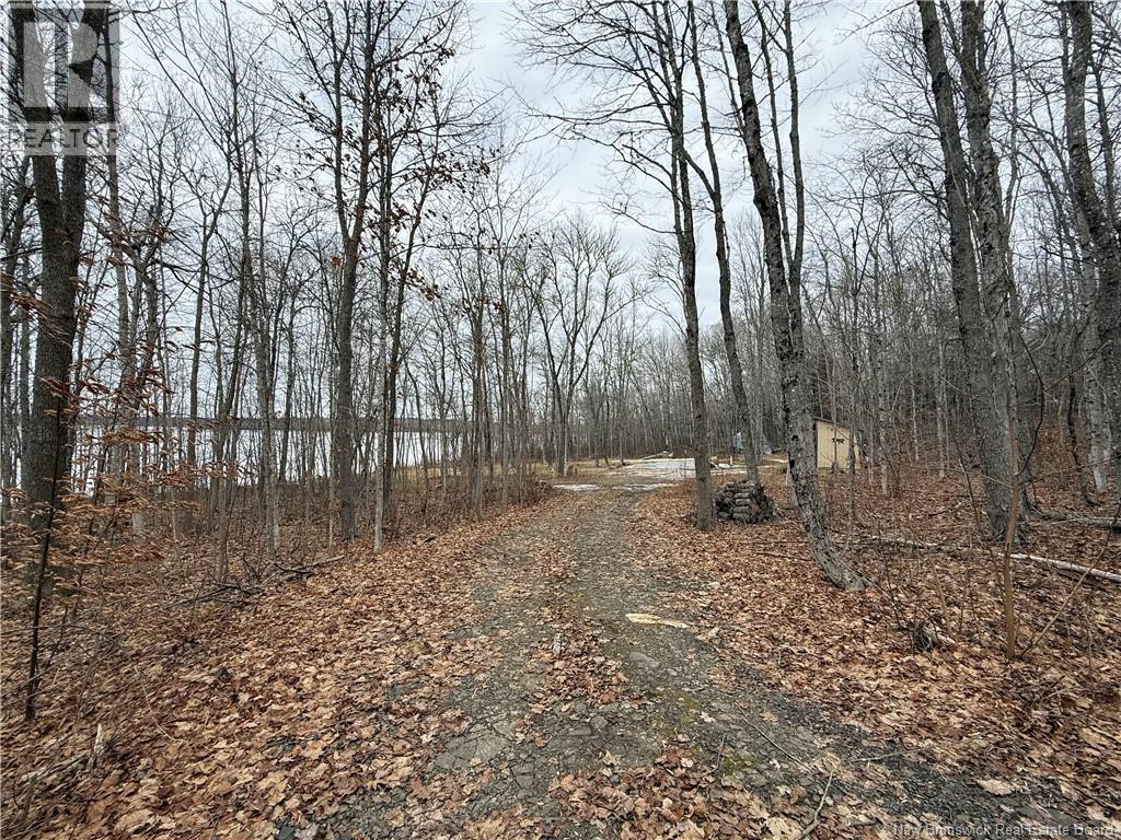 958 Route 710, Codys, New Brunswick  E4C 1B5 - Photo 16 - NB135485