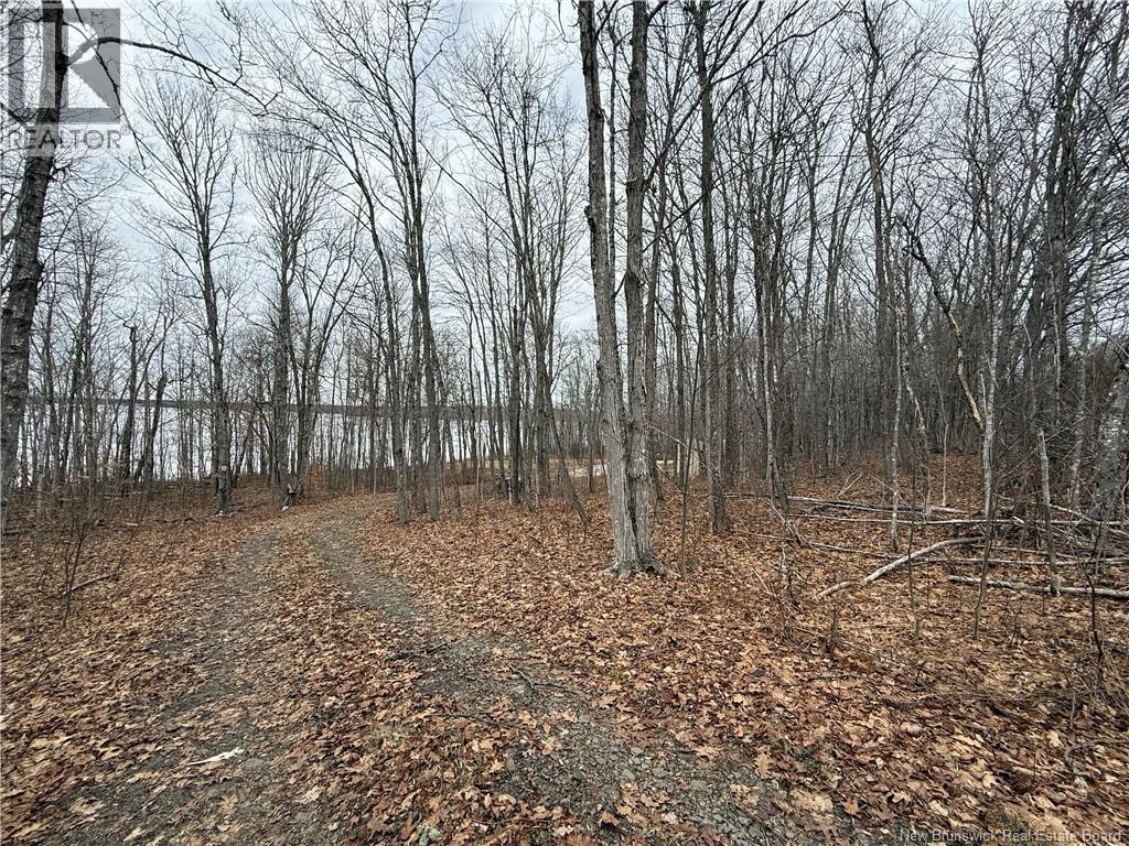 958 Route 710, Codys, New Brunswick  E4C 1B5 - Photo 15 - NB135485