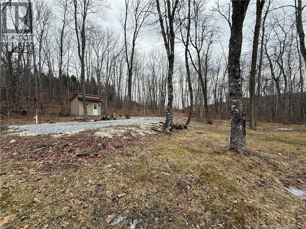 958 Route 710, Codys, New Brunswick  E4C 1B5 - Photo 31 - NB135485