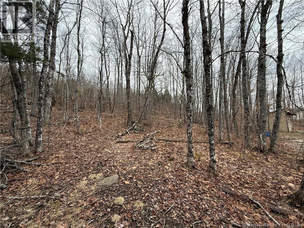 958 Route 710, Codys, New Brunswick  E4C 1B5 - Photo 33 - NB135485