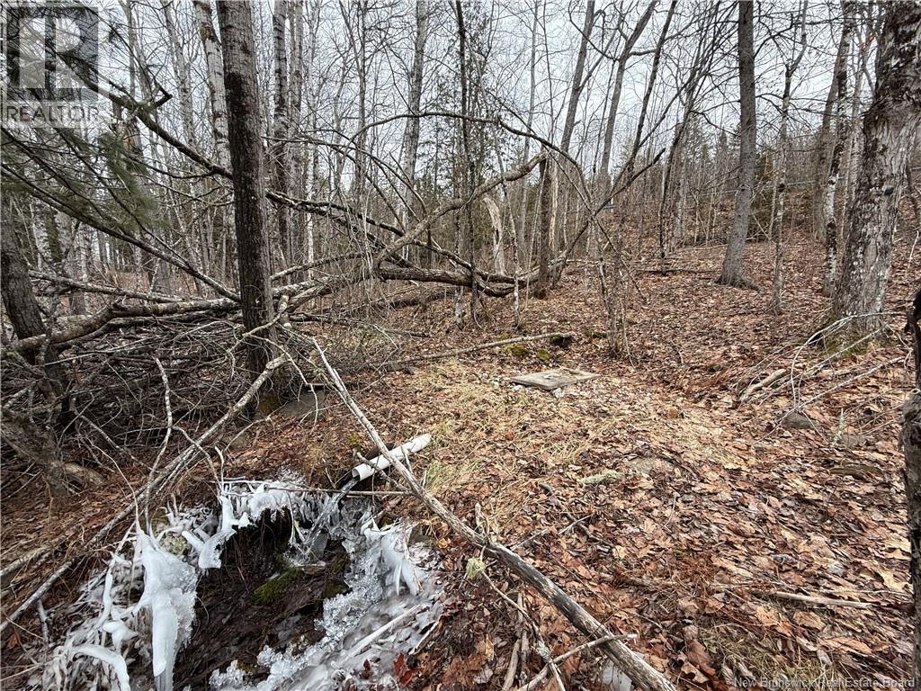 958 Route 710, Codys, New Brunswick  E4C 1B5 - Photo 32 - NB135485