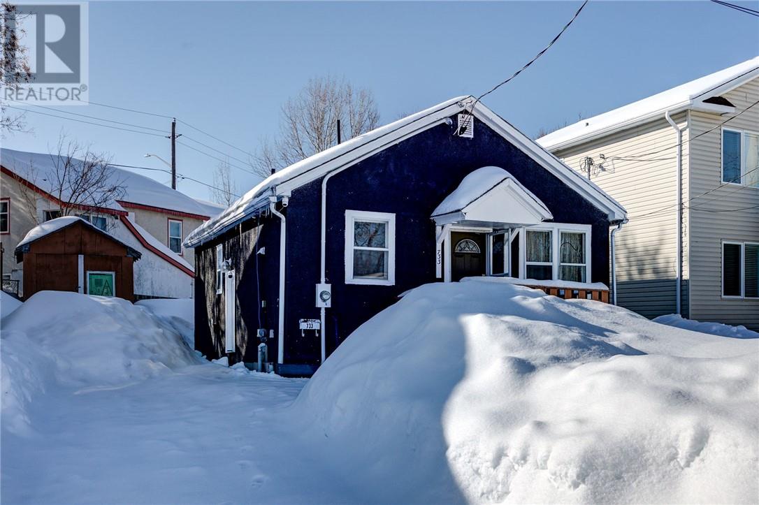 733 Fraser Street, Sudbury, Ontario  P3E 2B3 - Photo 2 - 2126884
