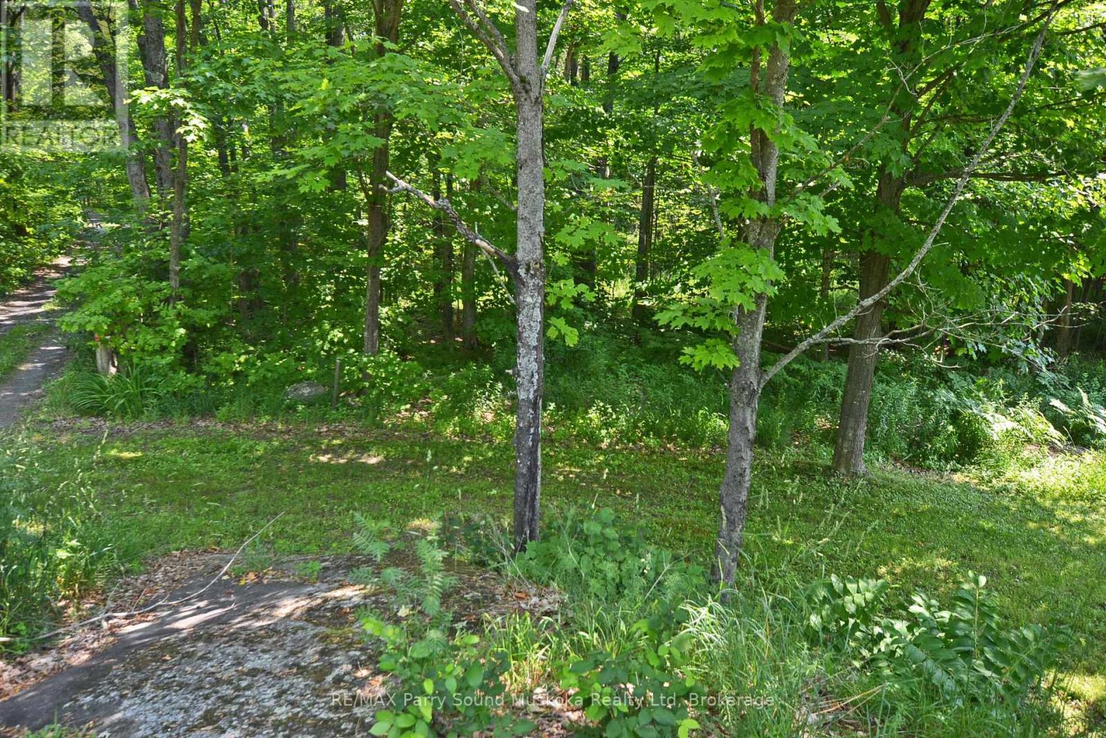 19 Turtle Lane, Mckellar, Ontario  P0G 1C0 - Photo 17 - X12784098