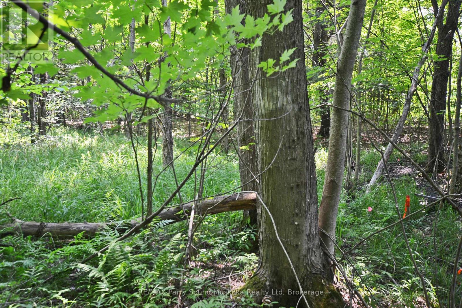 19 Turtle Lane, Mckellar, Ontario  P0G 1C0 - Photo 19 - X12784098