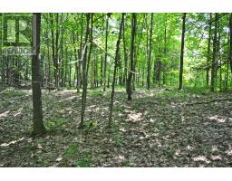 19 TURTLE LANE, McKellar, Ontario