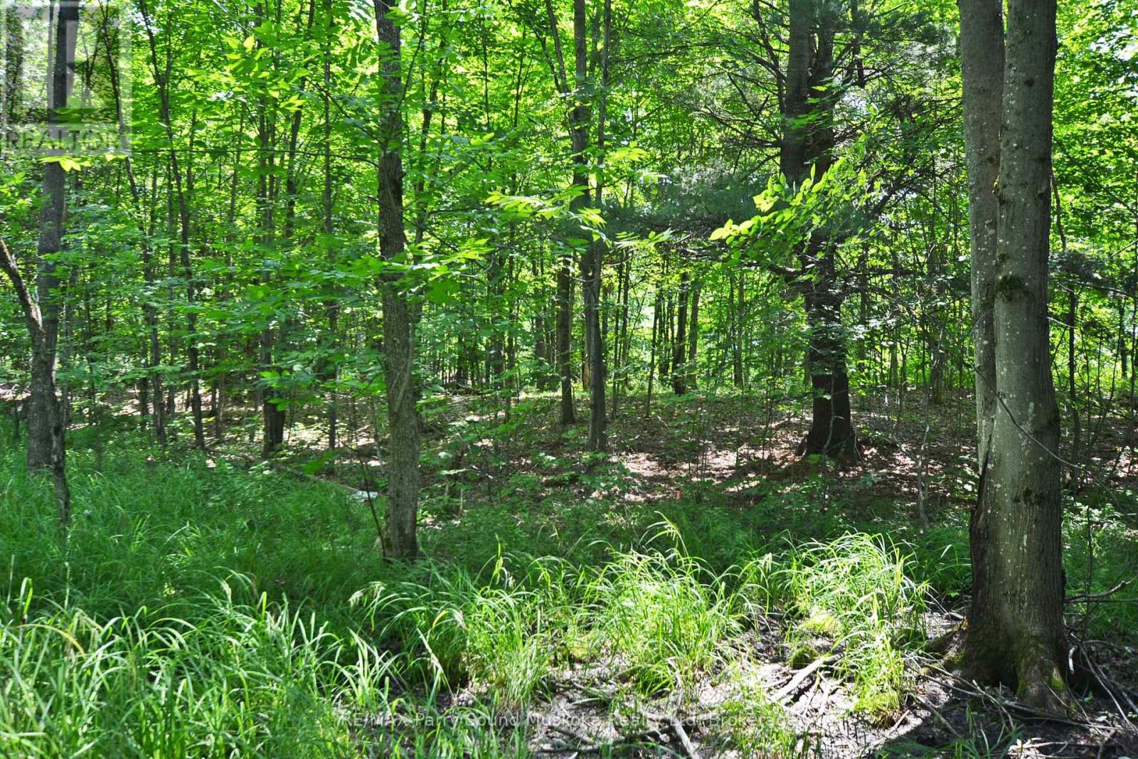 19 Turtle Lane, Mckellar, Ontario  P0G 1C0 - Photo 20 - X12784098