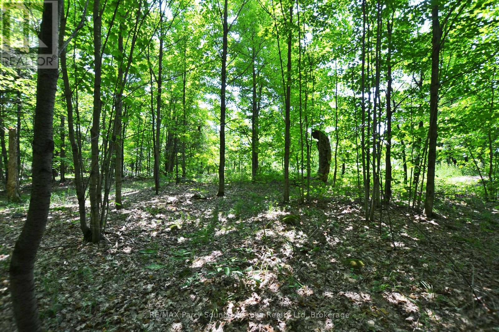 19 Turtle Lane, Mckellar, Ontario  P0G 1C0 - Photo 21 - X12784098