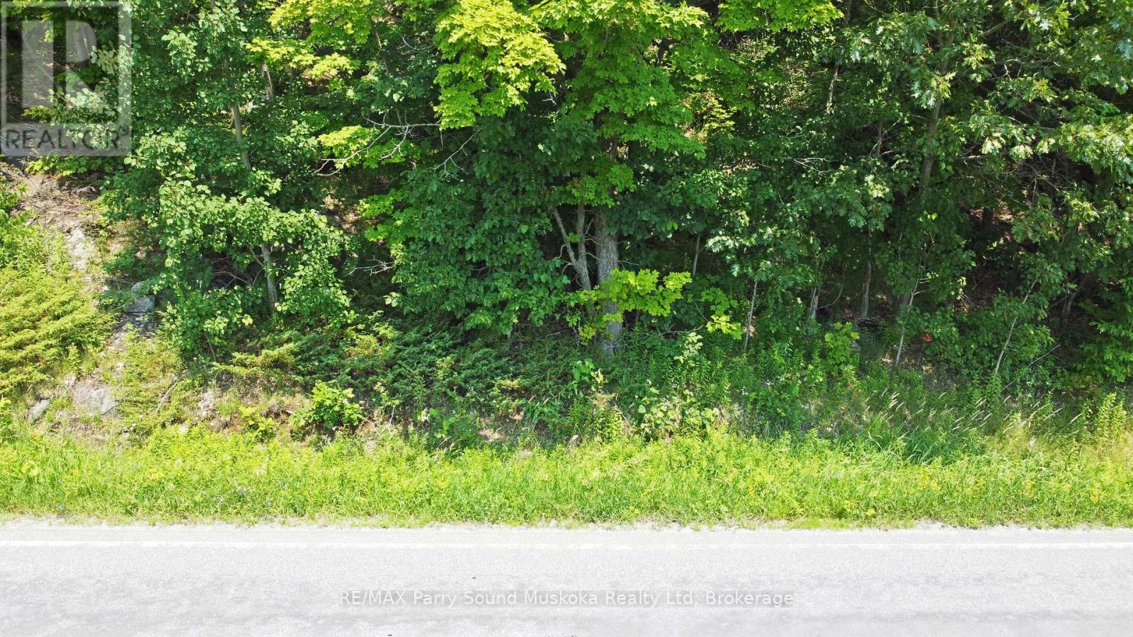 19 Turtle Lane, Mckellar, Ontario  P0G 1C0 - Photo 15 - X12784098