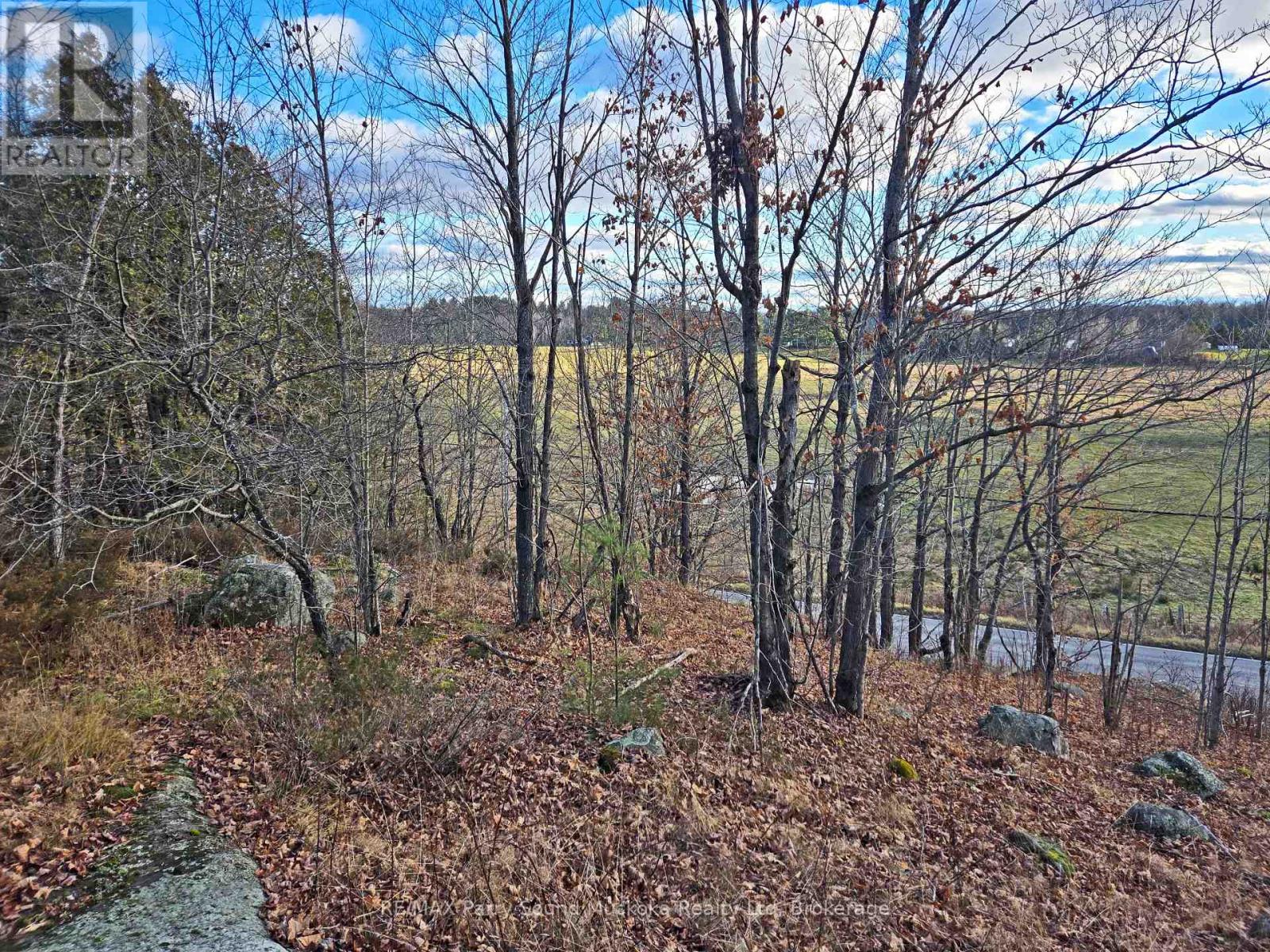 19 Turtle Lane, Mckellar, Ontario  P0G 1C0 - Photo 3 - X12784098