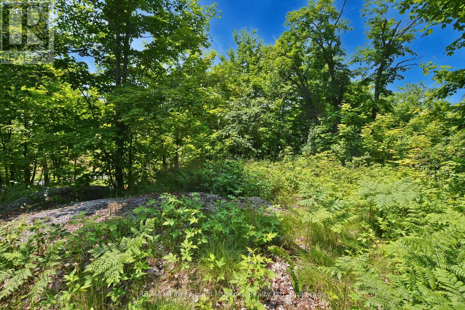 19 Turtle Lane, Mckellar, Ontario  P0G 1C0 - Photo 24 - X12784098