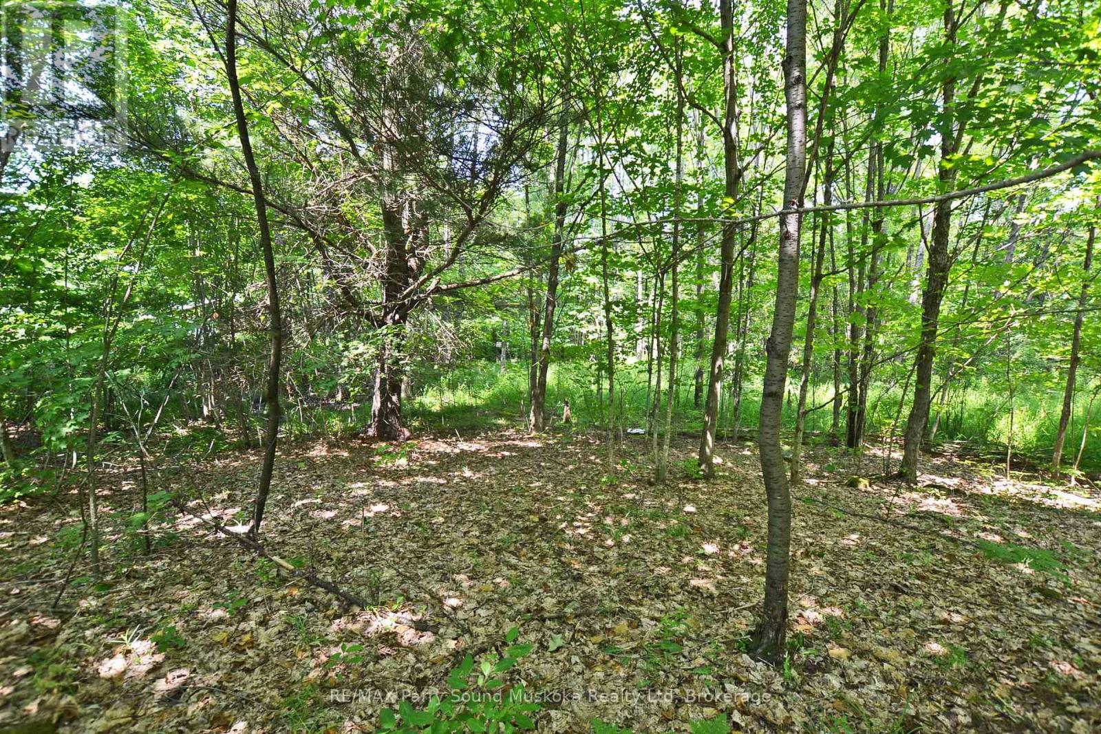 19 Turtle Lane, Mckellar, Ontario  P0G 1C0 - Photo 22 - X12784098