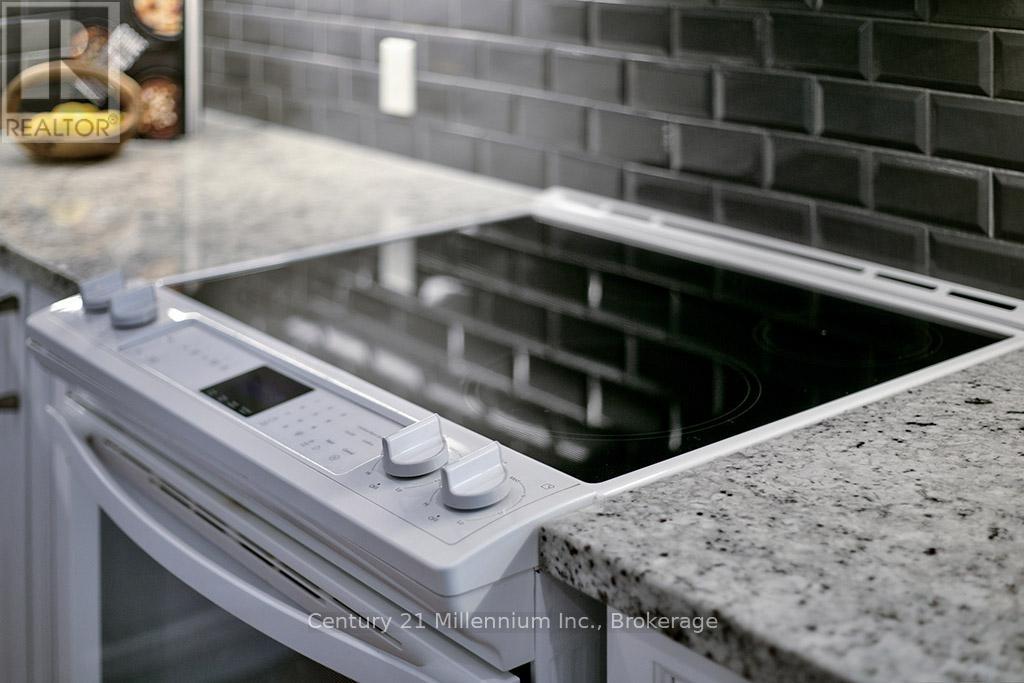 Lorem Ipsum Dolor Sit, Collingwood, Ontario  L9Y  - Photo 19 - DEMO29518633