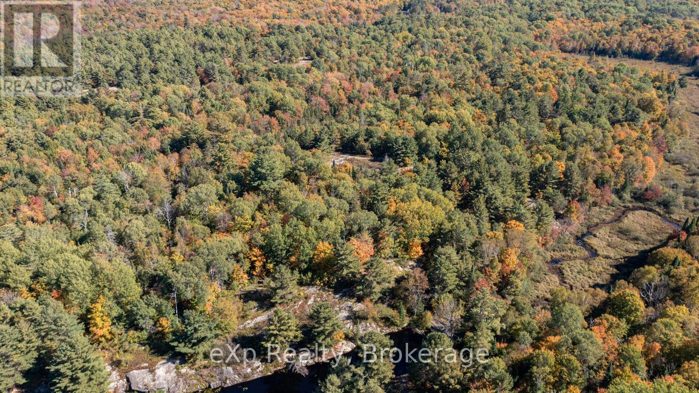 0 Shebeshekong Road, Carling, Ontario  P0G 1G0 - Photo 5 - X12923118