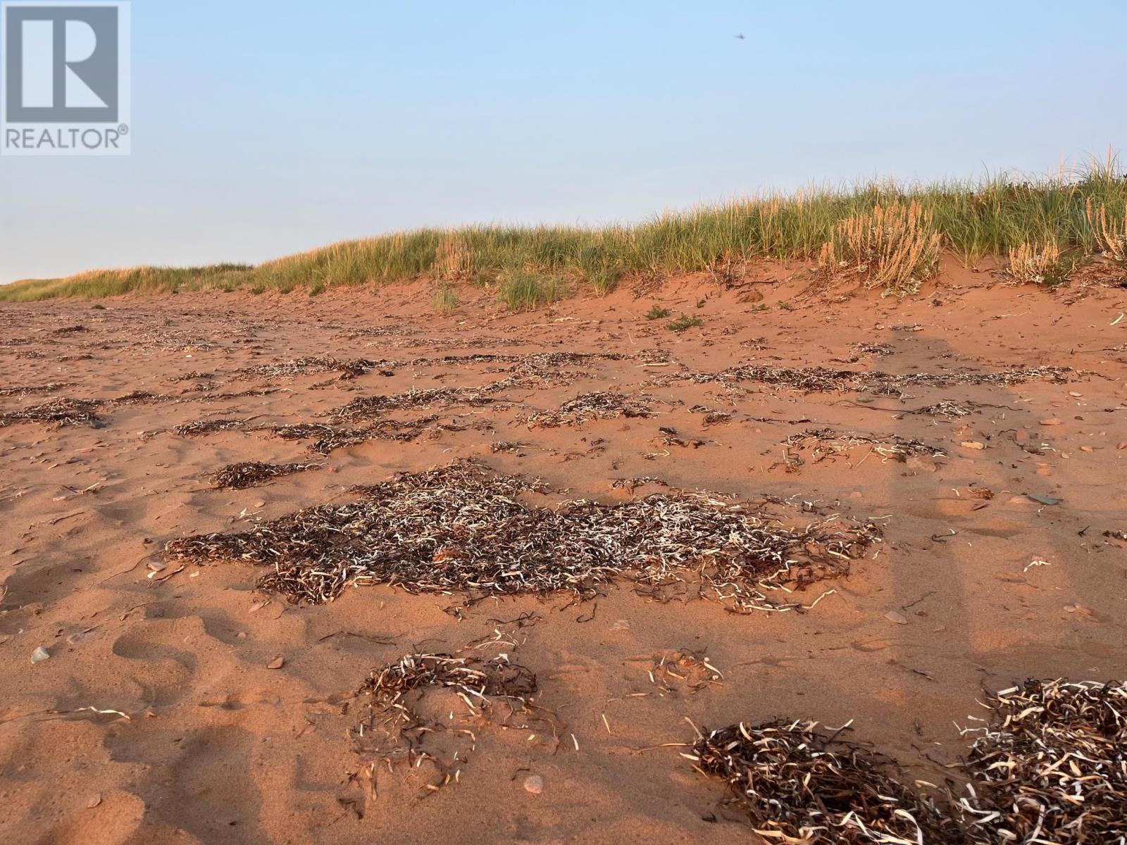 Maximeville, Maximeville, Prince Edward Island  C0B 2E0 - Photo 13 - 202605523