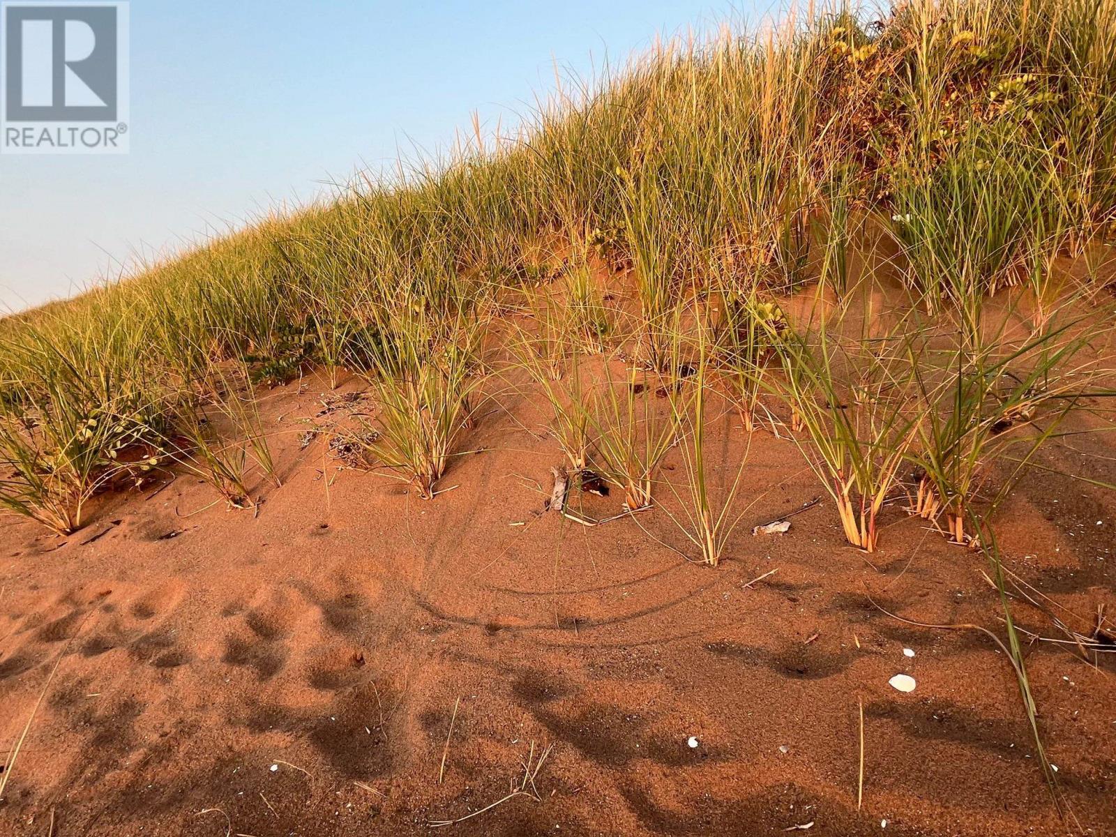 Maximeville, Maximeville, Prince Edward Island  C0B 2E0 - Photo 24 - 202605523