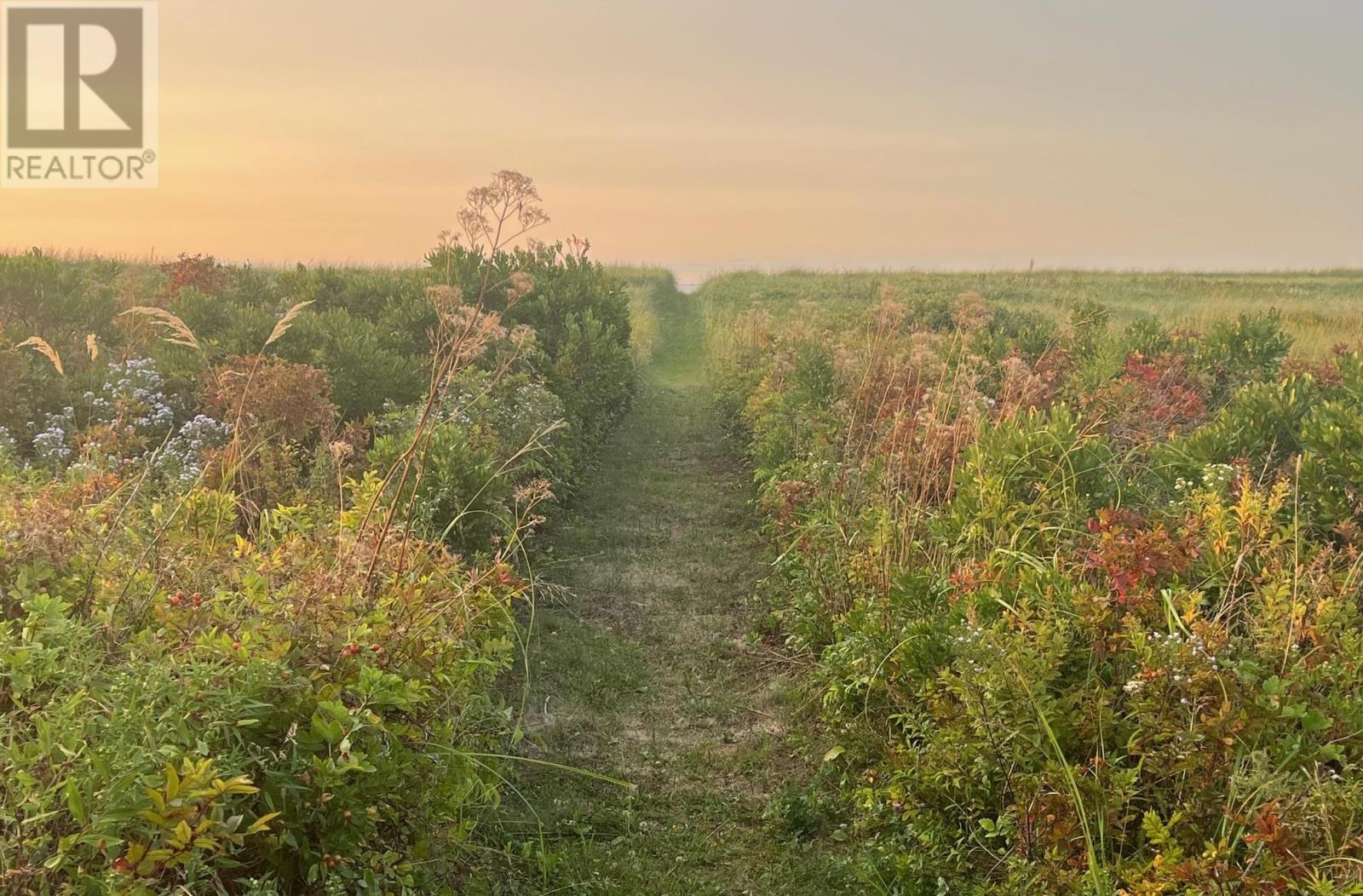 Maximeville, Maximeville, Prince Edward Island  C0B 2E0 - Photo 29 - 202605523