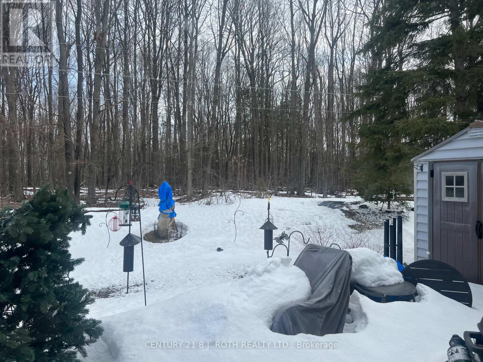 29 Corner Brook Trail, Innisfil, Ontario L9S 1P2 - Photo 23 - N12922896