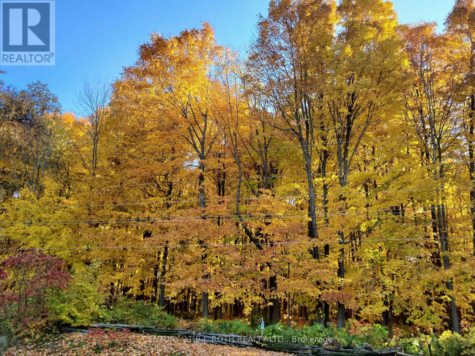 29 Corner Brook Trail, Innisfil, Ontario L9S 1P2 - Photo 24 - N12922896
