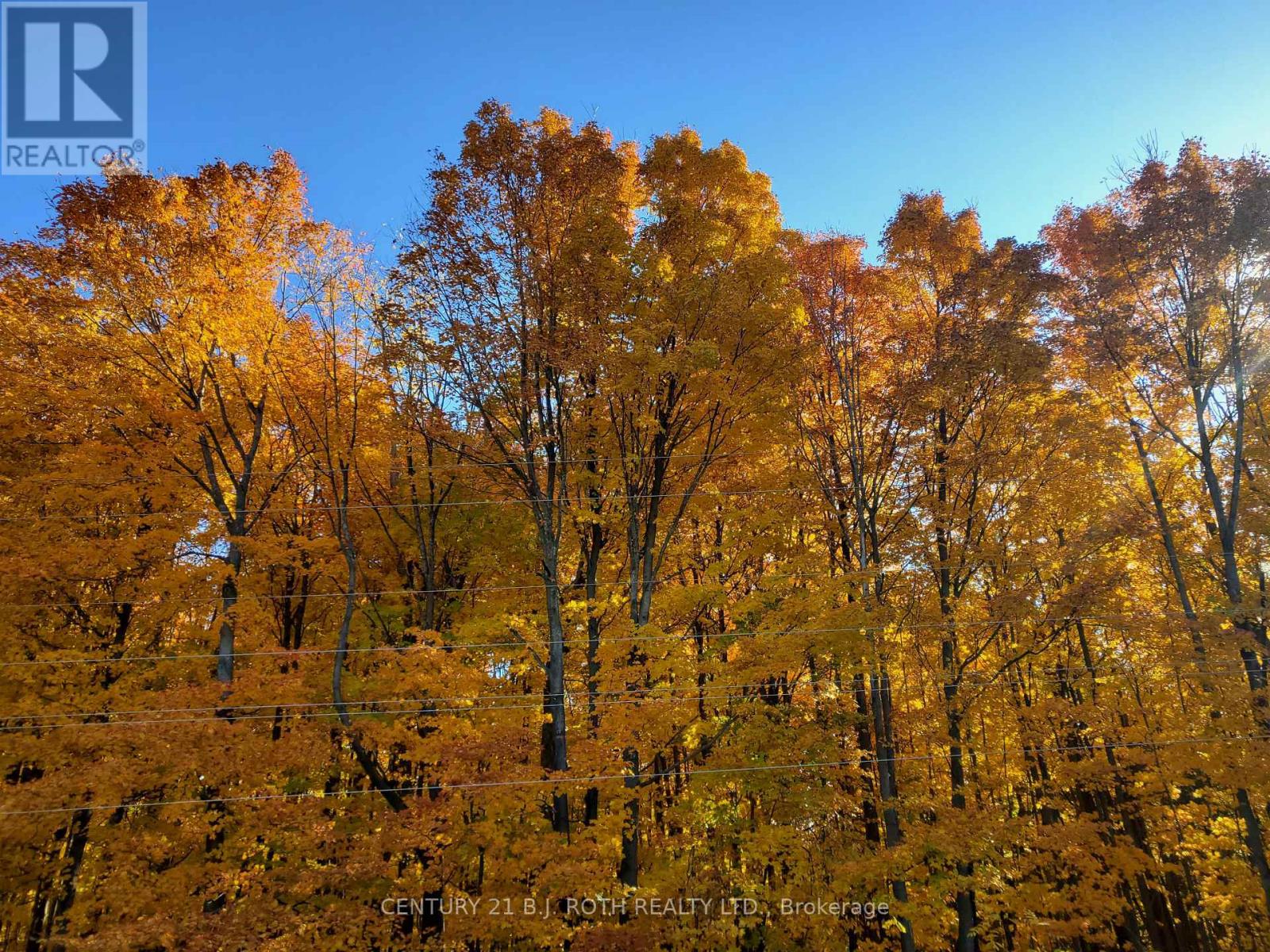 29 Corner Brook Trail, Innisfil, Ontario L9S 1P2 - Photo 31 - N12922896