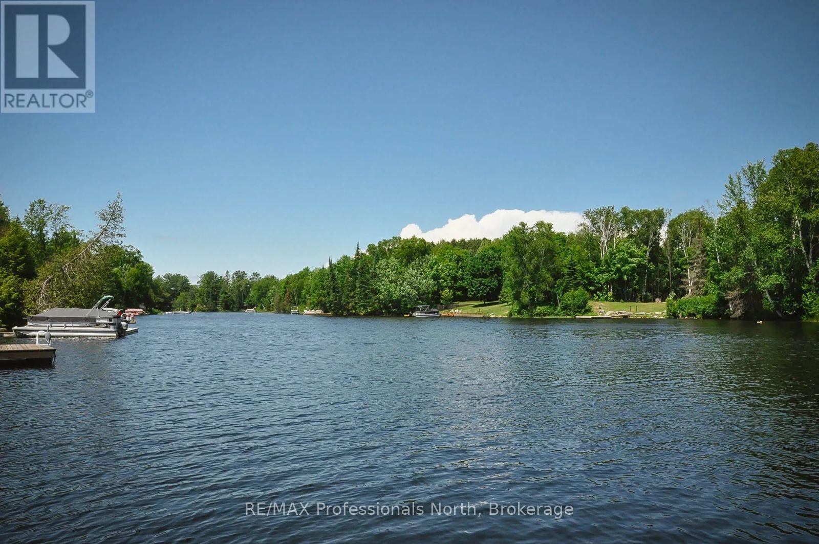 1054 Grace River Road, Highlands East, Ontario  K0L 1M0 - Photo 6 - X12919494