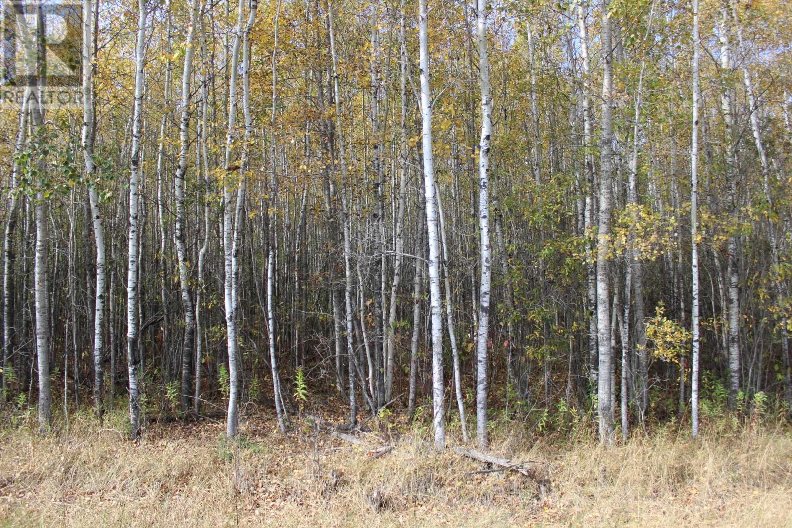 Lorem Ipsum Dolor, Bergland, Ontario  P0W  - Photo 1 - DEMO29518850