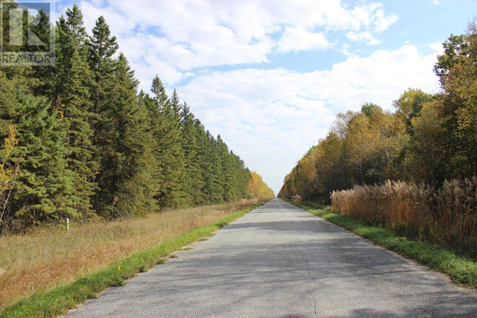 Lorem Ipsum Dolor, Bergland, Ontario  P0W  - Photo 3 - DEMO29518850