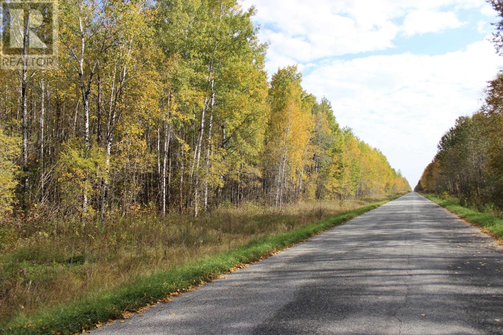 Lorem Ipsum Dolor, Bergland, Ontario  P0W  - Photo 4 - DEMO29518850