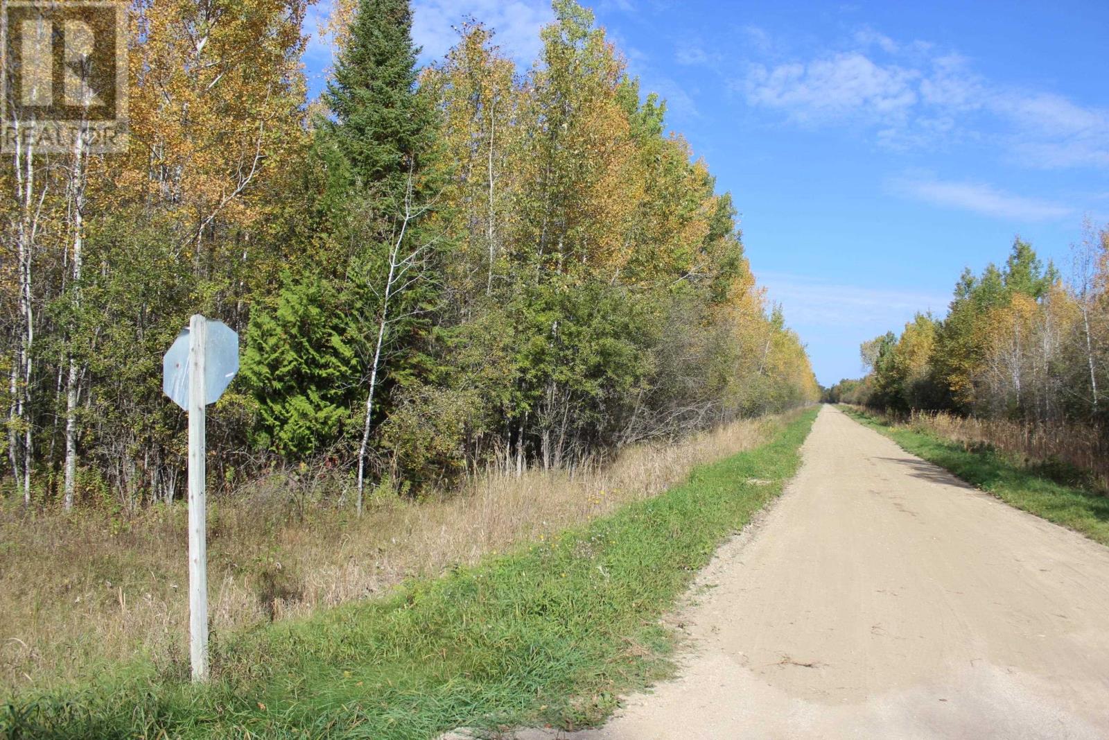 Lorem Ipsum Dolor, Bergland, Ontario  P0W  - Photo 6 - DEMO29518850