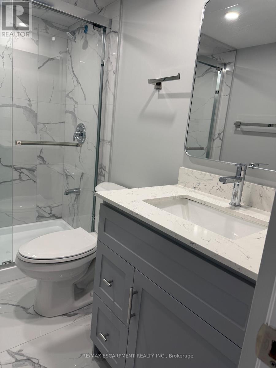 Lower - 276 Belmoral Avenue N, Hamilton, Ontario  L8L 7S4 - Photo 11 - X12923148