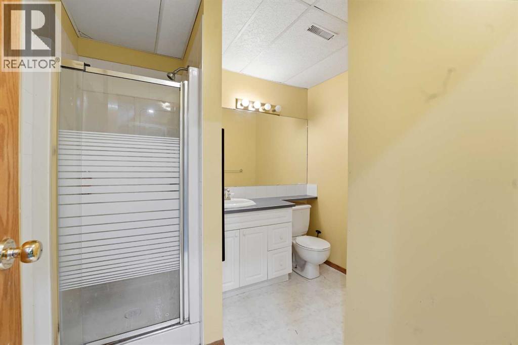 157, 28319 Township Road 384, Rural Red Deer County, Alberta  T4S 2A4 - Photo 38 - A2295765