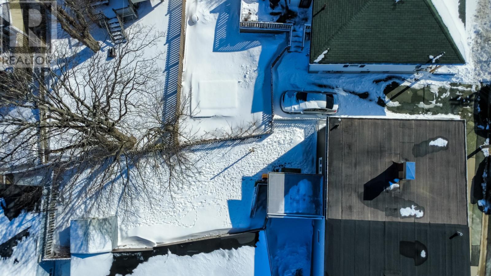 82 Mayor Avenue, St. John's, Newfoundland & Labrador  A1C 4P1 - Photo 4 - 1295371