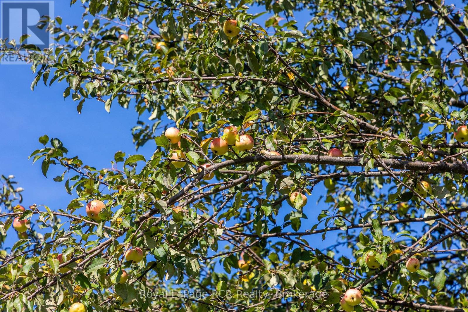 1037 Purple Valley Road, South Bruce Peninsula, Ontario  N0H 1W0 - Photo 48 - X12923448