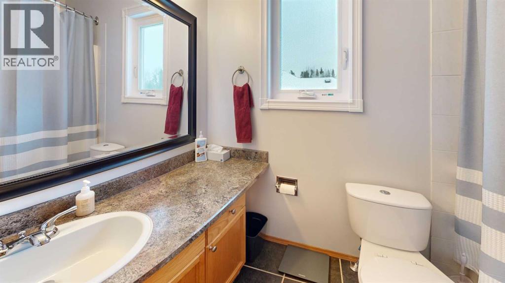 1 Park Lane, Whitecourt, Alberta  T7S 1S3 - Photo 19 - A2296053