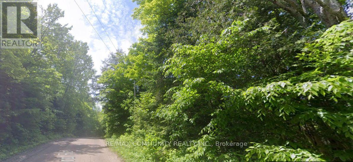 12 Con 22 Cardiff Concession, Highlands East (Monmouth), Ontario  K0L 3C0 - Photo 8 - X12921818