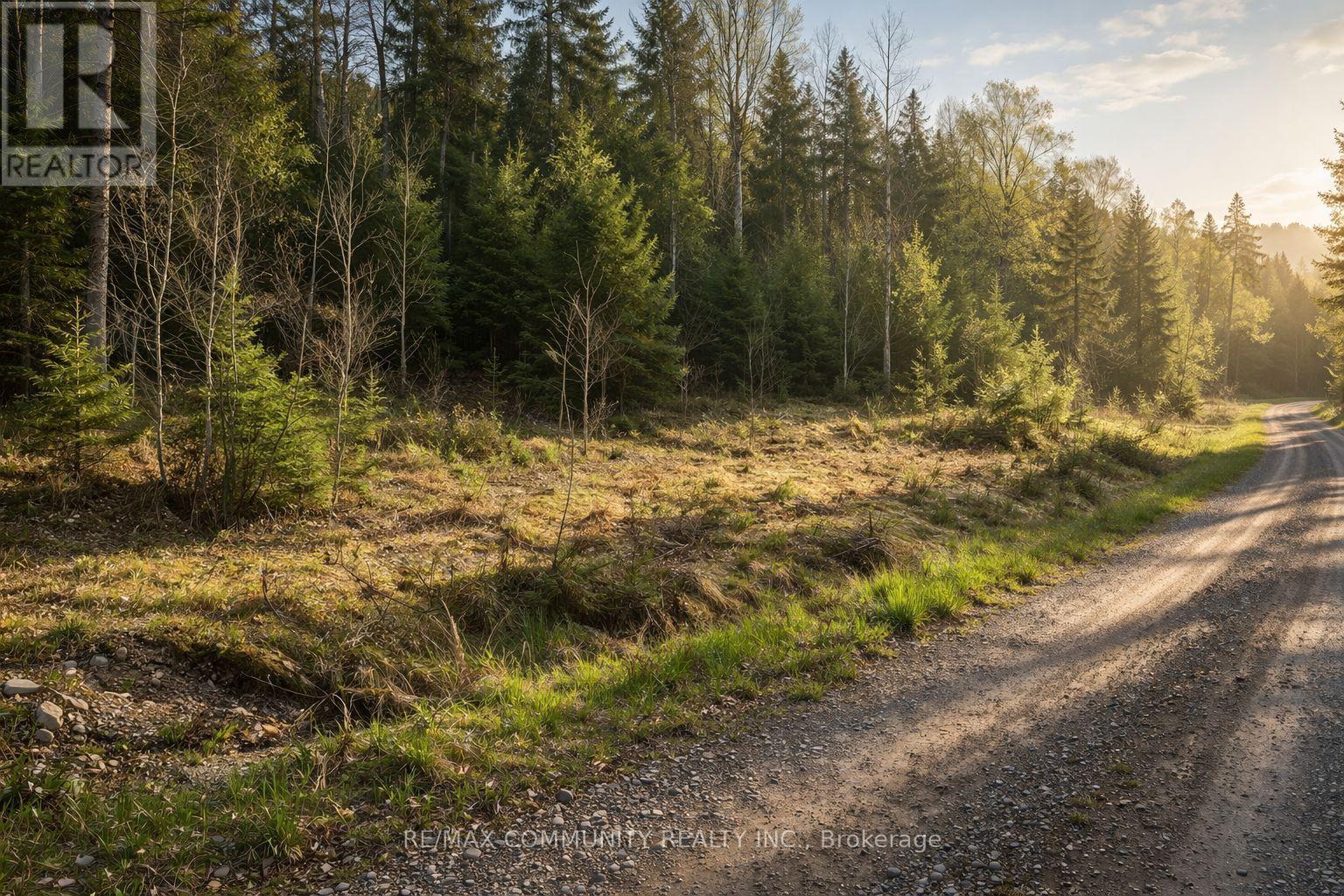 12 Con 22 Cardiff Concession, Highlands East (Monmouth), Ontario  K0L 3C0 - Photo 17 - X12921818