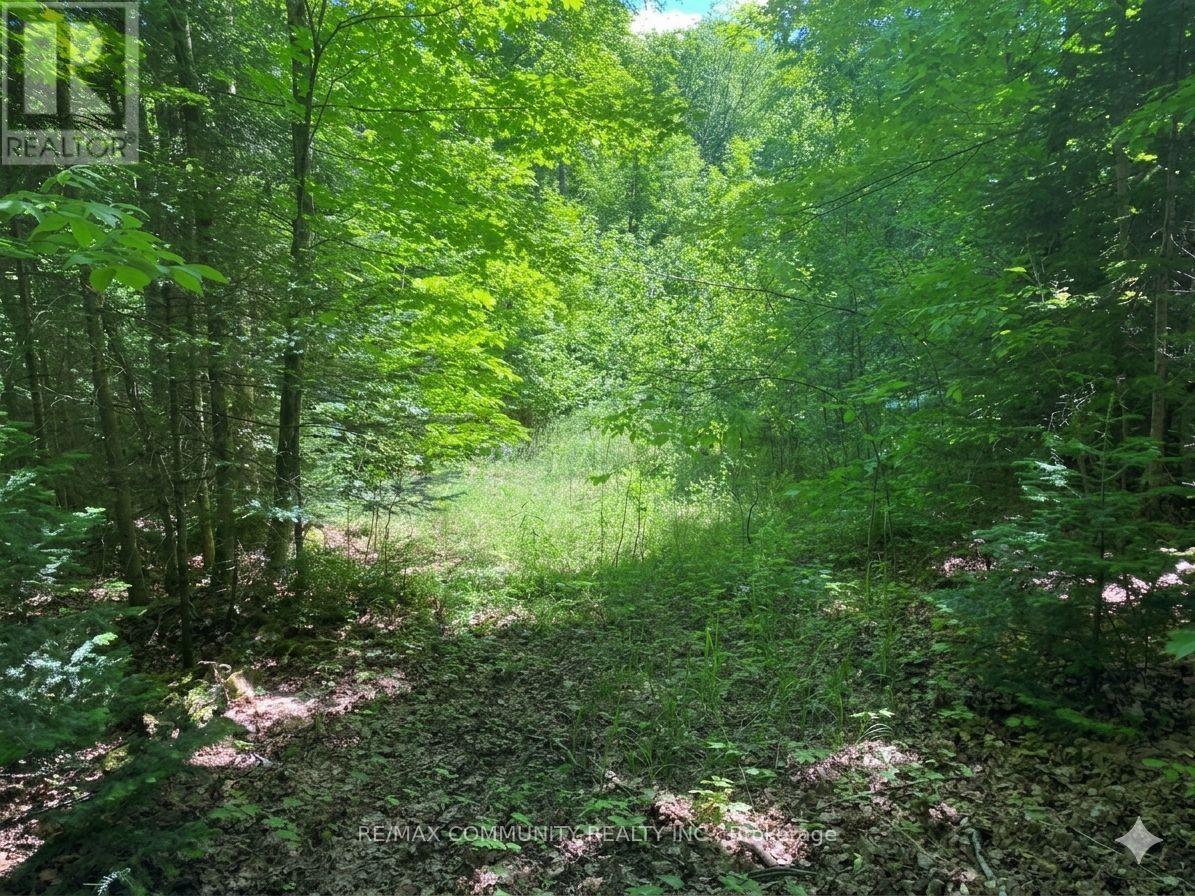 12 Con 22 Cardiff Concession, Highlands East (Monmouth), Ontario  K0L 3C0 - Photo 14 - X12921818