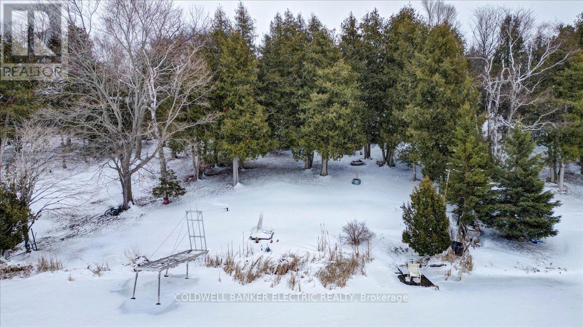 6 Leisure Lane, Kawartha Lakes, Ontario  K9V 4R1 - Photo 2 - X12918594