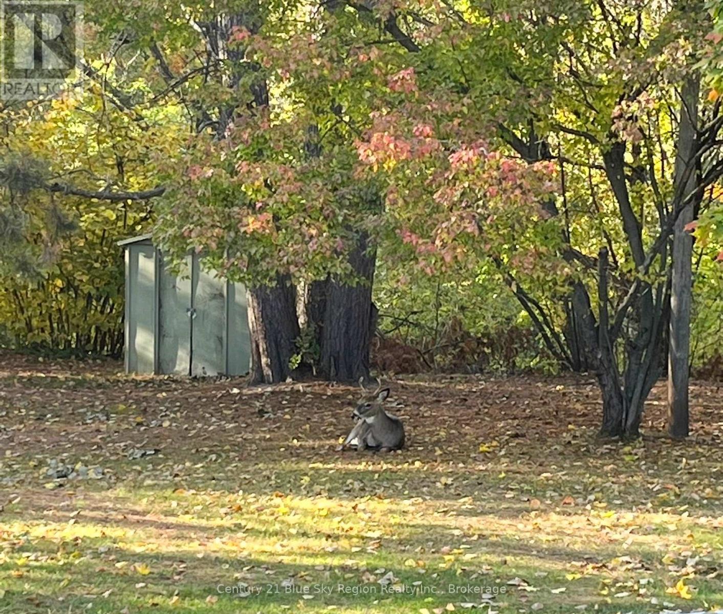 652 Baywood Road, North Bay, Ontario  P1B 4T1 - Photo 38 - X12923650