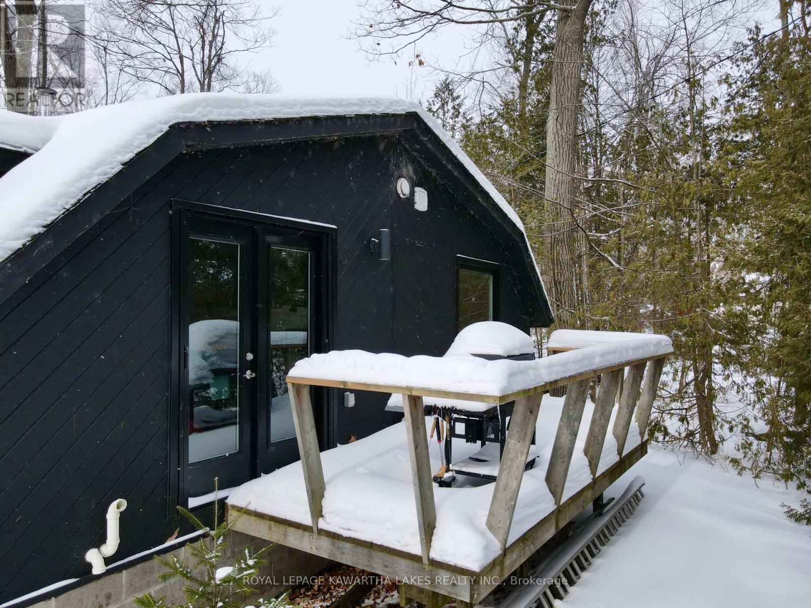 Lorem Ipsum Do, Trent Lakes, Ontario  K0L  - Photo 4 - DEMO29519308