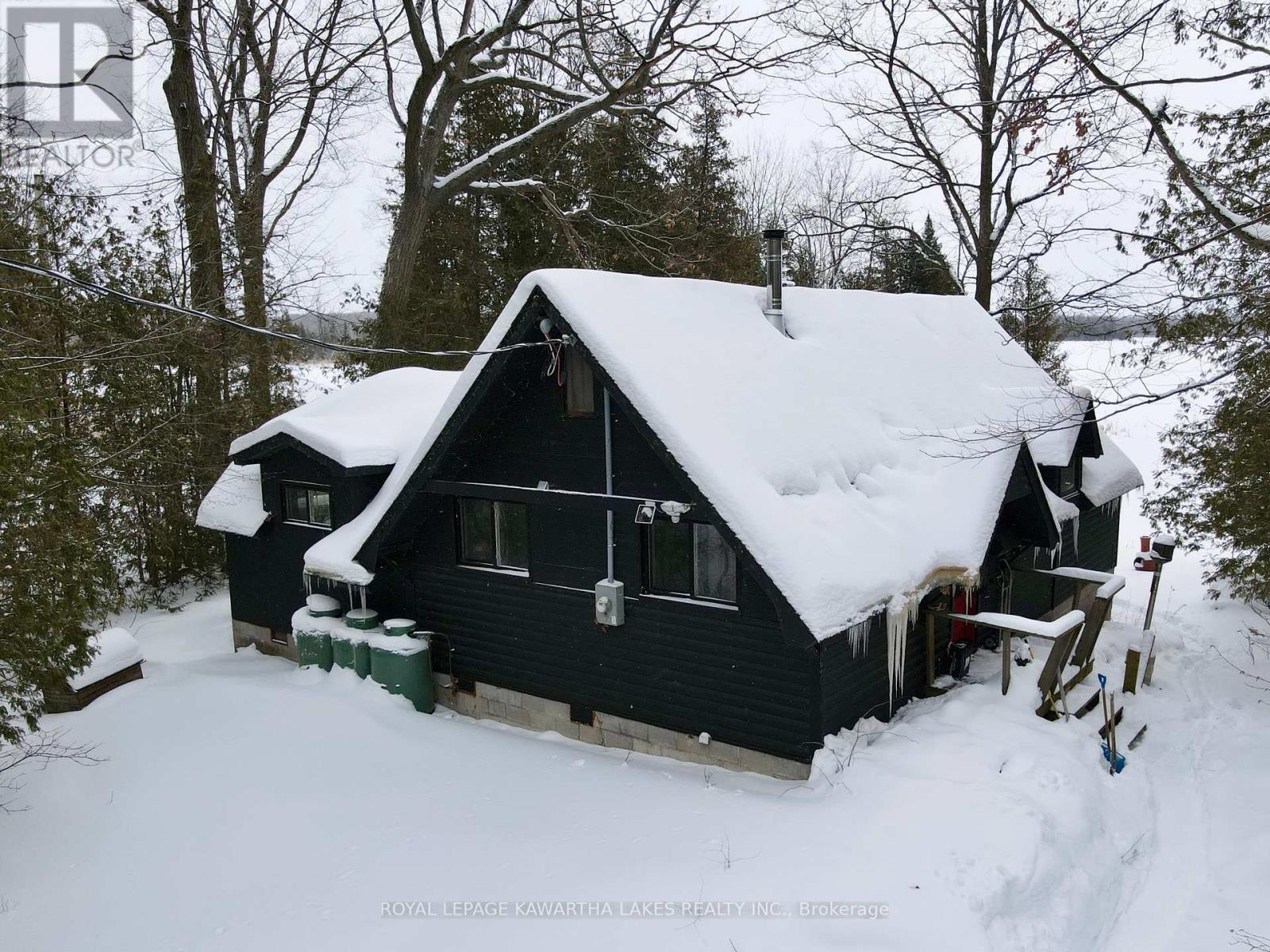 Lorem Ipsum Do, Trent Lakes, Ontario  K0L  - Photo 5 - DEMO29519308