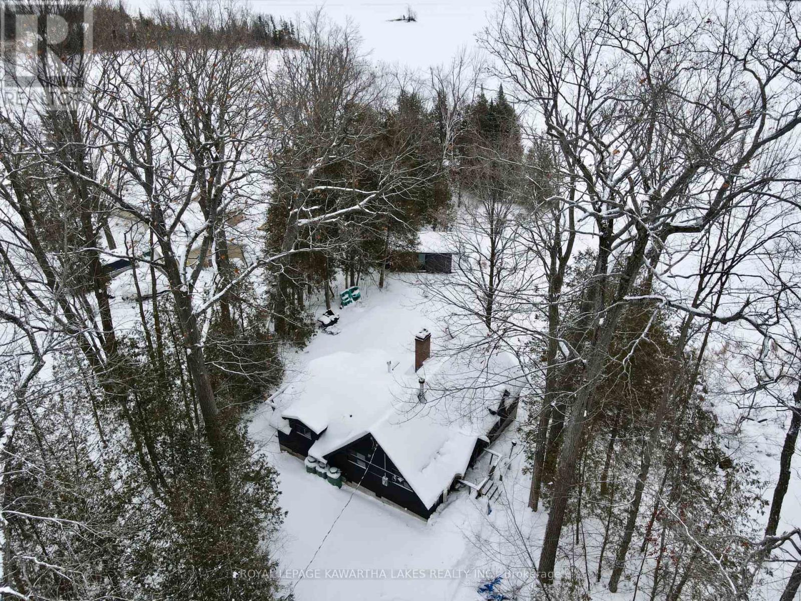 Lorem Ipsum Do, Trent Lakes, Ontario  K0L  - Photo 6 - DEMO29519308