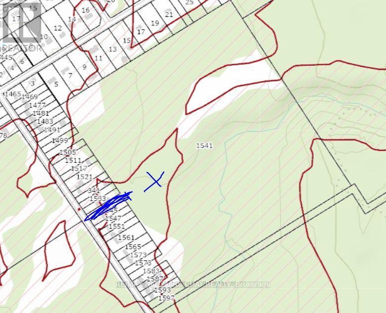 1541 Gill Road, Springwater, Ontario  L9X 1N2 - Photo 5 - S12923870