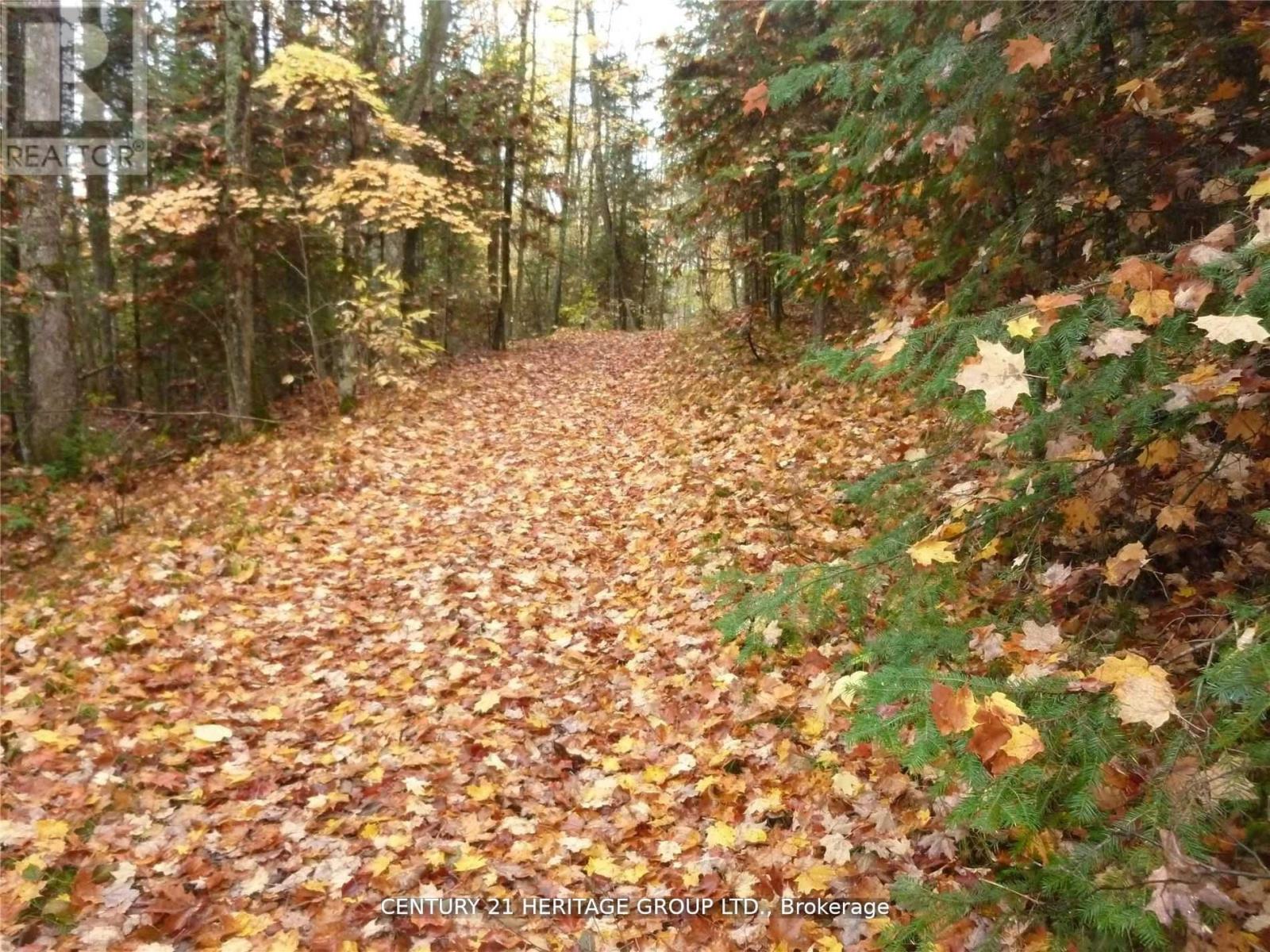 Pt Lot 8 Macduff Road, Highlands East (Monmouth), Ontario  K0L 2Y0 - Photo 2 - X12923692