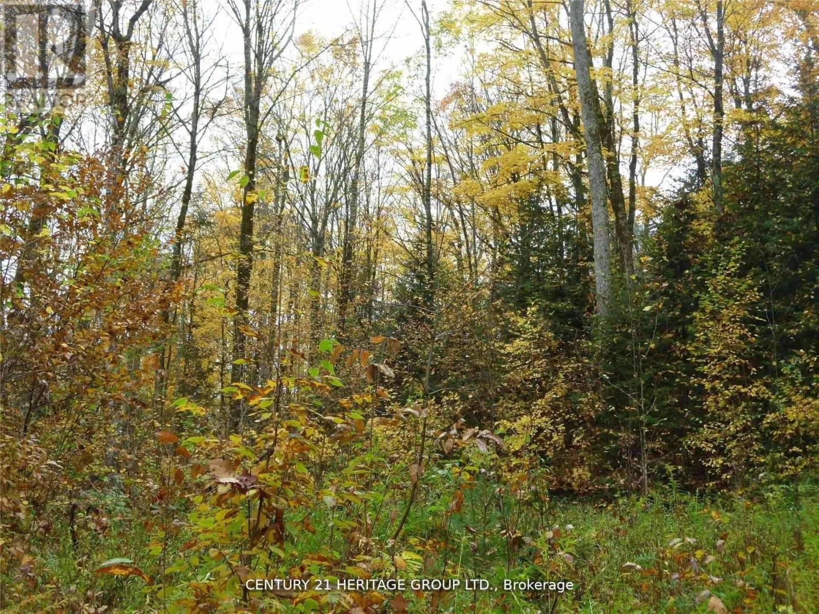 Pt Lot 8 Macduff Road, Highlands East (Monmouth), Ontario  K0L 2Y0 - Photo 3 - X12923692