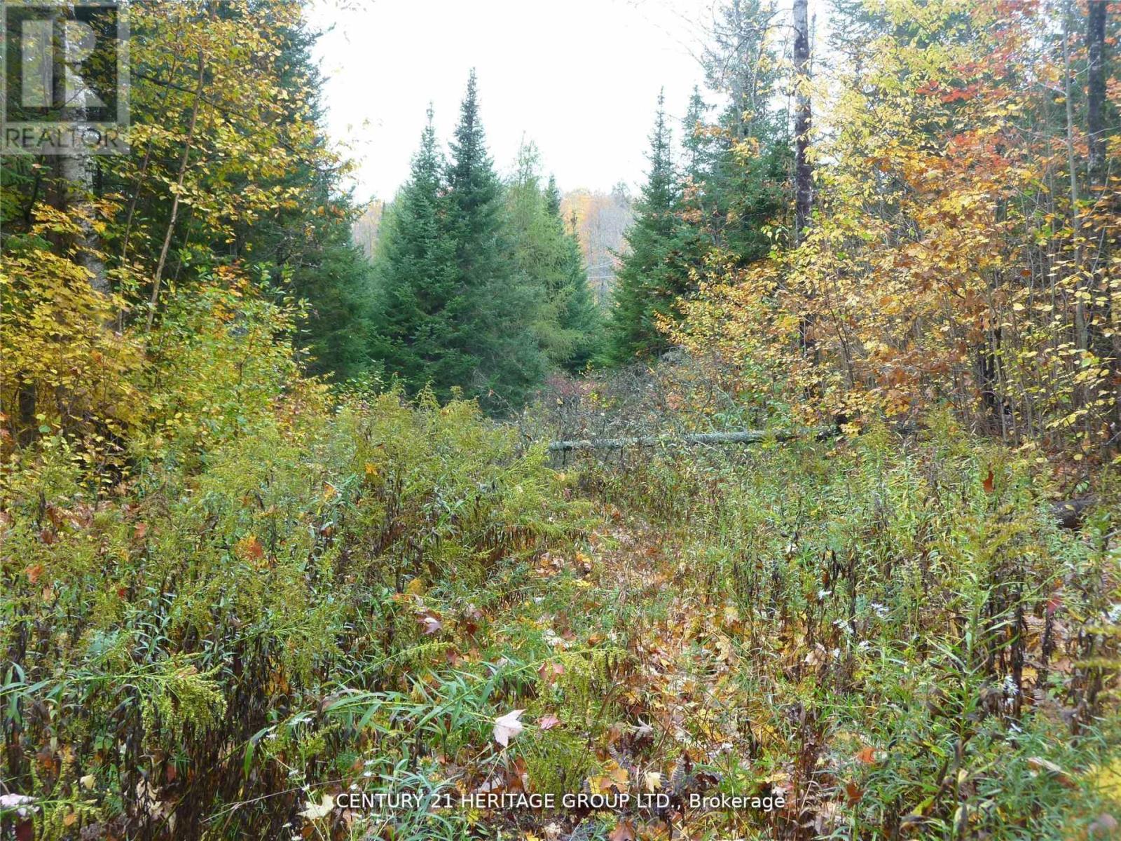 Pt Lot 8 Macduff Road, Highlands East (Monmouth), Ontario  K0L 2Y0 - Photo 6 - X12923692