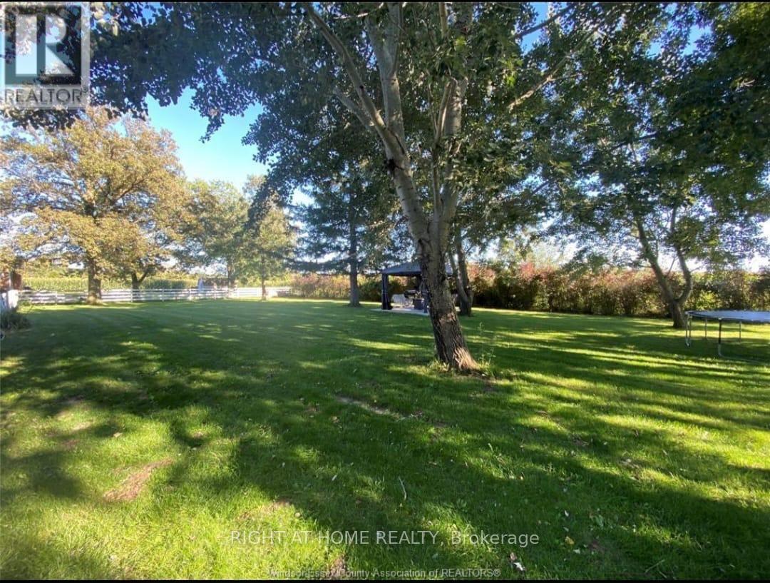 1609 County Road 46 Road, Lakeshore, Ontario  N0R 1V0 - Photo 37 - X12923730