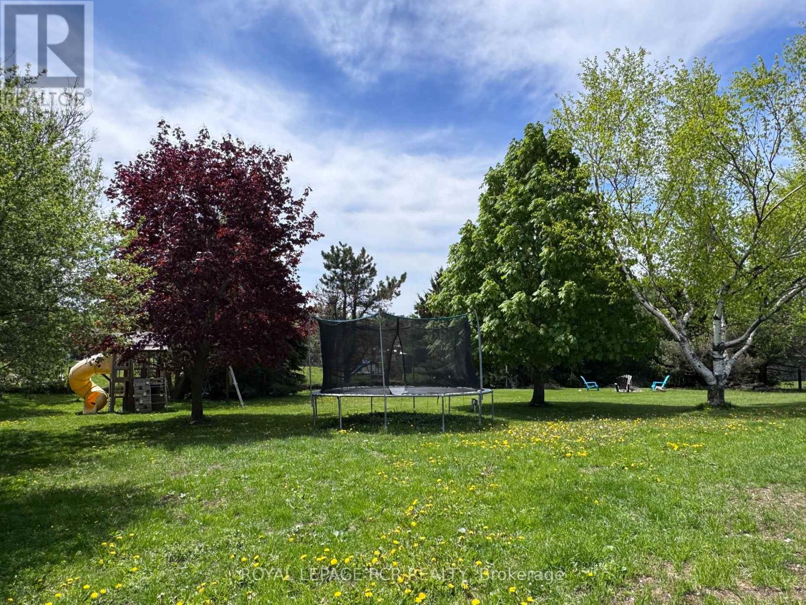 18 Peter Street, Amaranth, Ontario  L9W 5Z8 - Photo 38 - X12923780