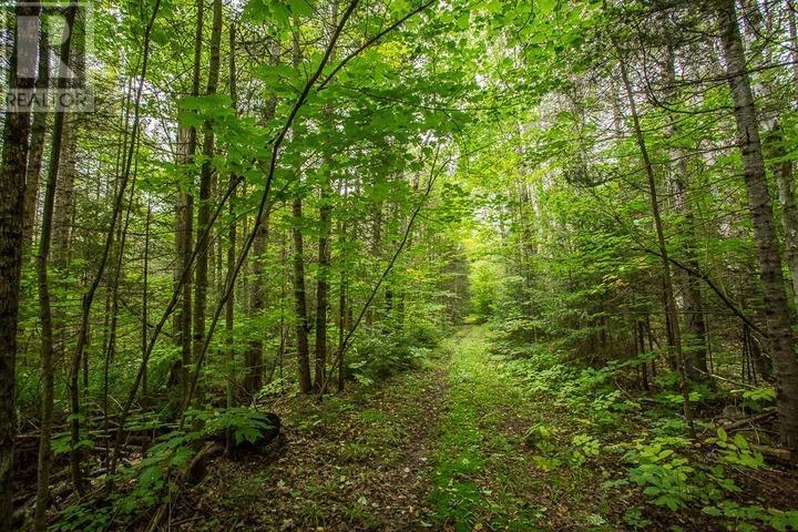 Trunk Road At Highway 17 East, Huron Shores, Ontario P0R 1L0 - Photo 30 - SM260544